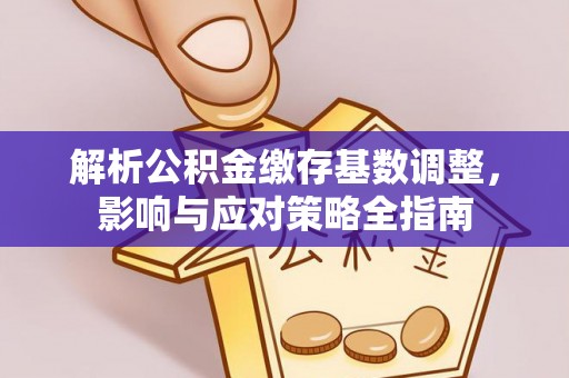 开阳解析公积金缴存基数调整，影响与应对策略全指南