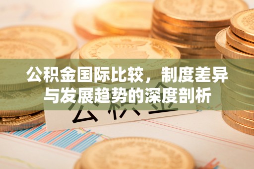 开阳公积金国际比较，制度差异与发展趋势的深度剖析