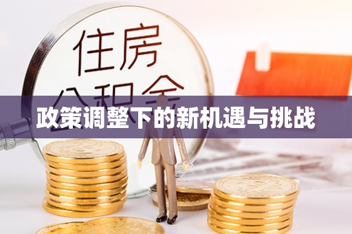 开阳政策调整下的新机遇与挑战