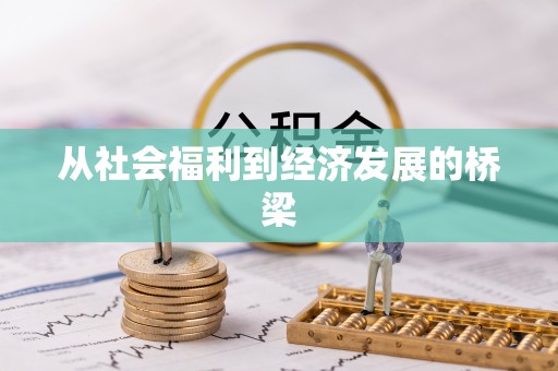 开阳从社会福利到经济发展的桥梁