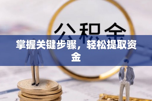 开阳掌握关键步骤，轻松提取资金