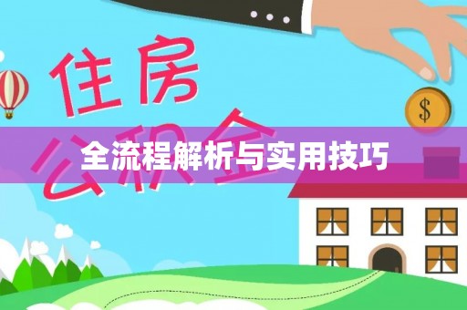 开阳全流程解析与实用技巧