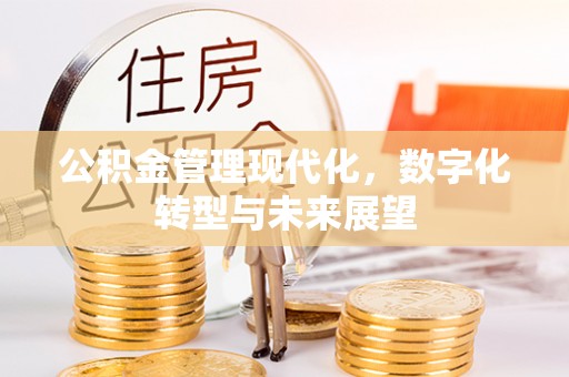 开阳公积金管理现代化，数字化转型与未来展望