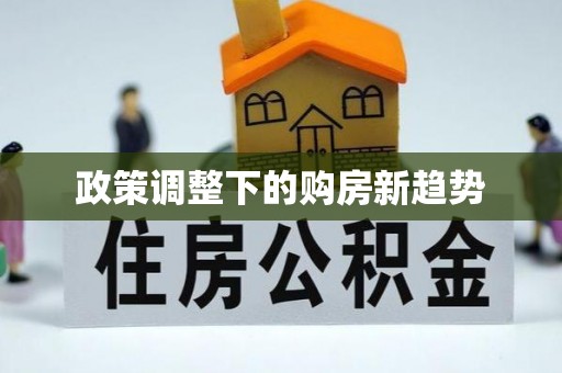 开阳政策调整下的购房新趋势