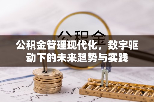 开阳公积金管理现代化，数字驱动下的未来趋势与实践