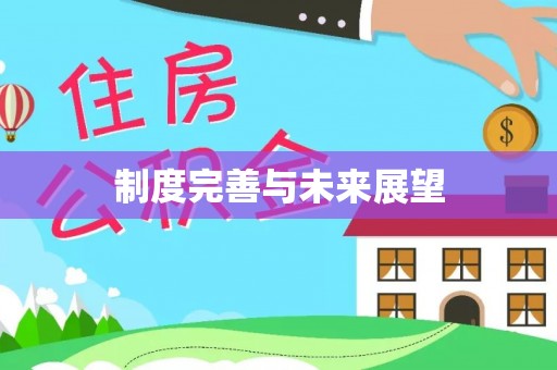 开阳制度完善与未来展望