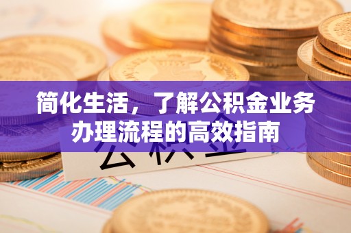 开阳简化生活，了解公积金业务办理流程的高效指南