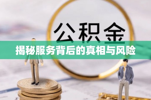 开阳揭秘服务背后的真相与风险