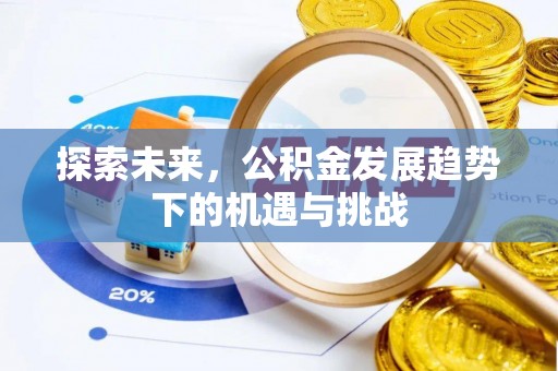 开阳探索未来，公积金发展趋势下的机遇与挑战