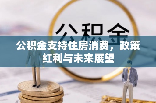 开阳公积金支持住房消费，政策红利与未来展望
