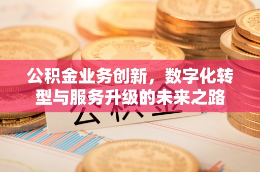 开阳公积金业务创新，数字化转型与服务升级的未来之路