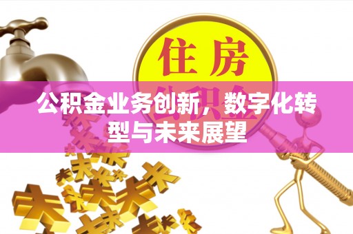 开阳公积金业务创新，数字化转型与未来展望
