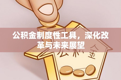 开阳公积金制度性工具，深化改革与未来展望