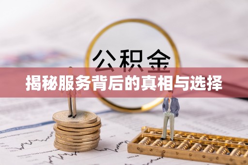 开阳揭秘服务背后的真相与选择