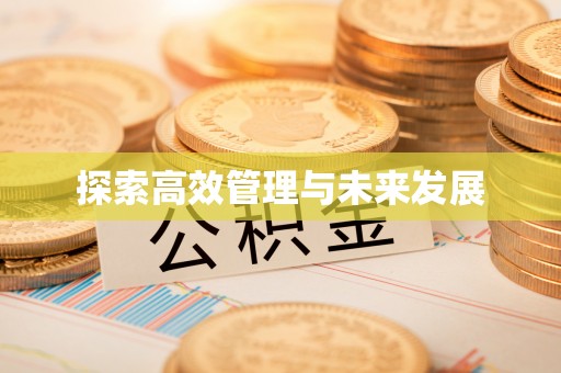 开阳探索高效管理与未来发展