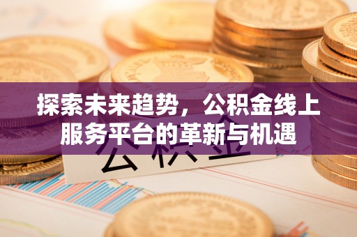 开阳探索未来趋势，公积金线上服务平台的革新与机遇