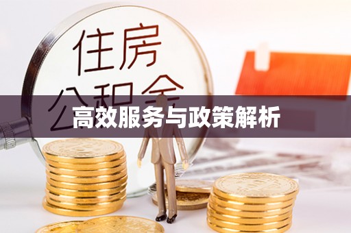 开阳高效服务与政策解析