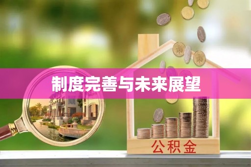 开阳制度完善与未来展望