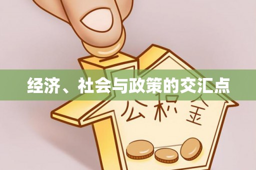 开阳经济、社会与政策的交汇点