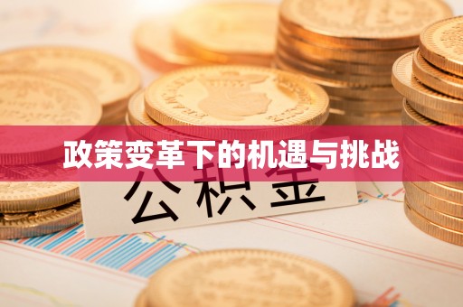 开阳政策变革下的机遇与挑战