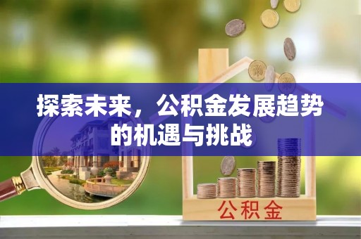 开阳探索未来，公积金发展趋势的机遇与挑战