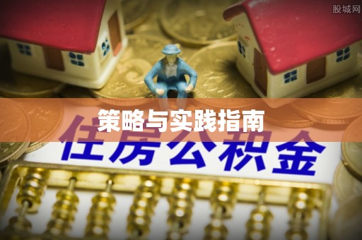 开阳策略与实践指南