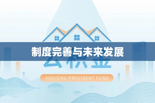开阳制度完善与未来发展