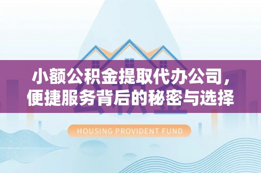 开阳小额公积金提取代办公司，便捷服务背后的秘密与选择指南