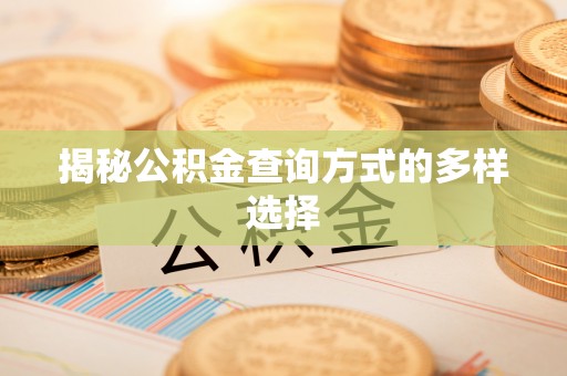 开阳揭秘公积金查询方式的多样选择