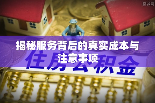 开阳揭秘服务背后的真实成本与注意事项