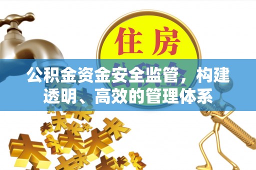 开阳公积金资金安全监管，构建透明、高效的管理体系
