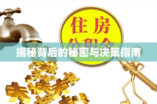 开阳揭秘背后的秘密与决策指南