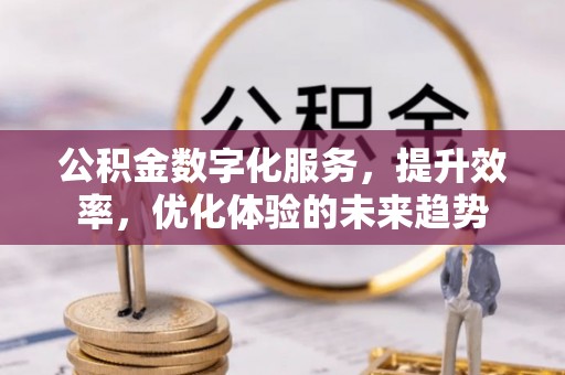 开阳公积金数字化服务，提升效率，优化体验的未来趋势
