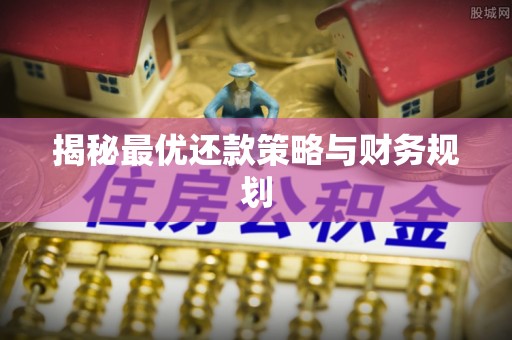 开阳揭秘最优还款策略与财务规划
