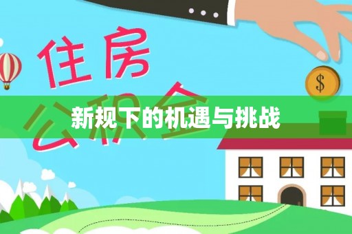 开阳新规下的机遇与挑战