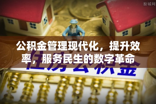 开阳公积金管理现代化，提升效率，服务民生的数字革命