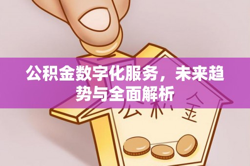 开阳公积金数字化服务，未来趋势与全面解析