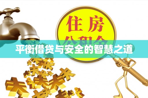开阳平衡借贷与安全的智慧之道