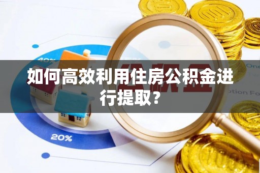 开阳如何高效利用住房公积金进行提取？