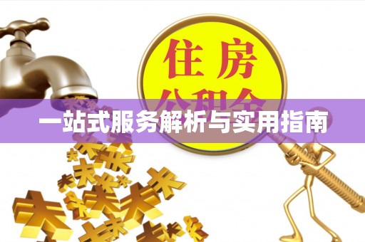 开阳一站式服务解析与实用指南