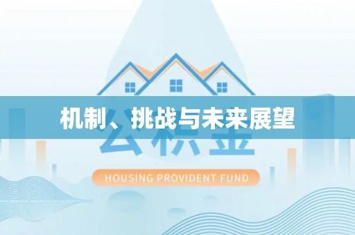 开阳机制、挑战与未来展望