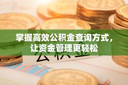 开阳掌握高效公积金查询方式，让资金管理更轻松