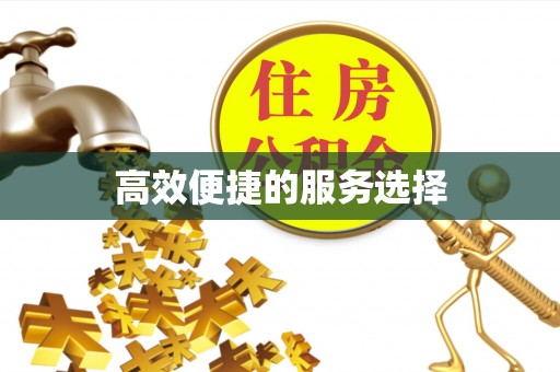 开阳高效便捷的服务选择