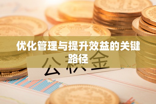 开阳优化管理与提升效益的关键路径